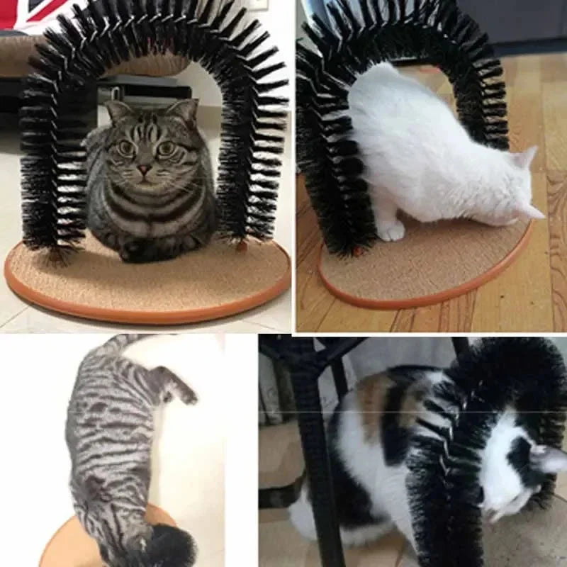 Self-Grooming Cat Arch